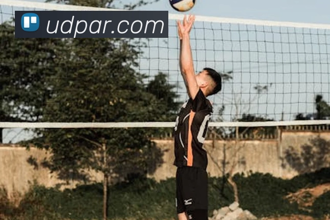 米兰体育·公司网站登录入口 - 米兰(中国)APP 封面图